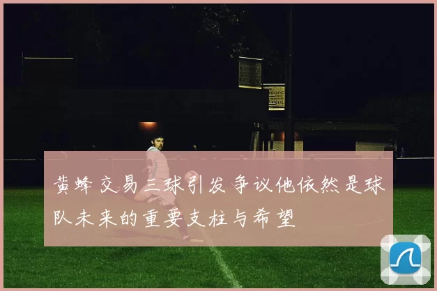 黄蜂交易三球引发争议他依然是球队未来的重要支柱与希望