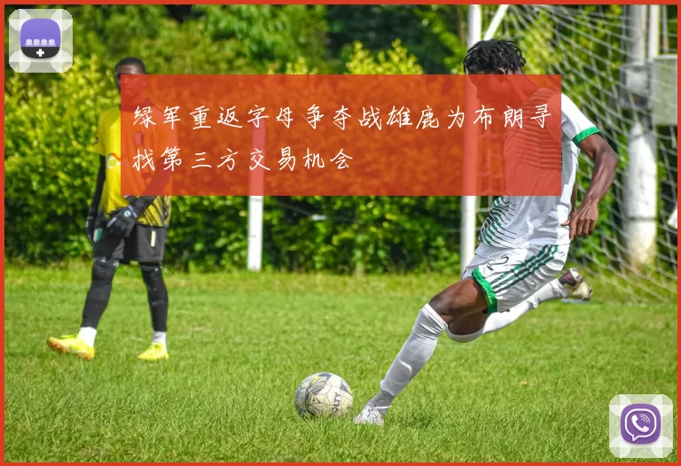 绿军重返字母争夺战雄鹿为布朗寻找第三方交易机会