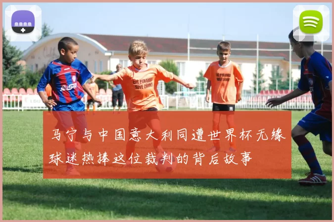 马宁与中国意大利同遭世界杯无缘球迷热捧这位裁判的背后故事