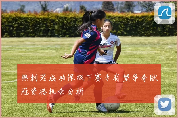 热刺若成功保级下赛季有望争夺欧冠资格机会分析